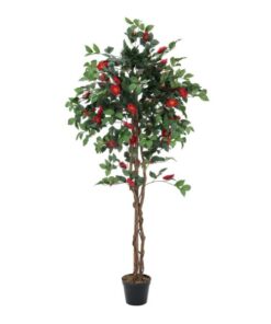 EUROPALMS Camelia red cemented 180cm
