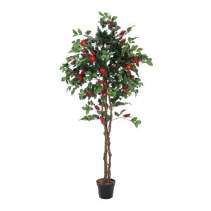 EUROPALMS Camelia red cemented 180cm