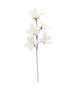 EUROPALMS Clematis Branch (EVA), white