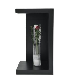 EUROPALMS Crystal eucalyptus, clear 81cm 12x