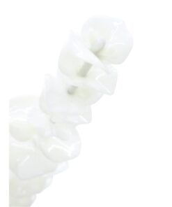 EUROPALMS Crystal eucalyptus, white 81cm 12x