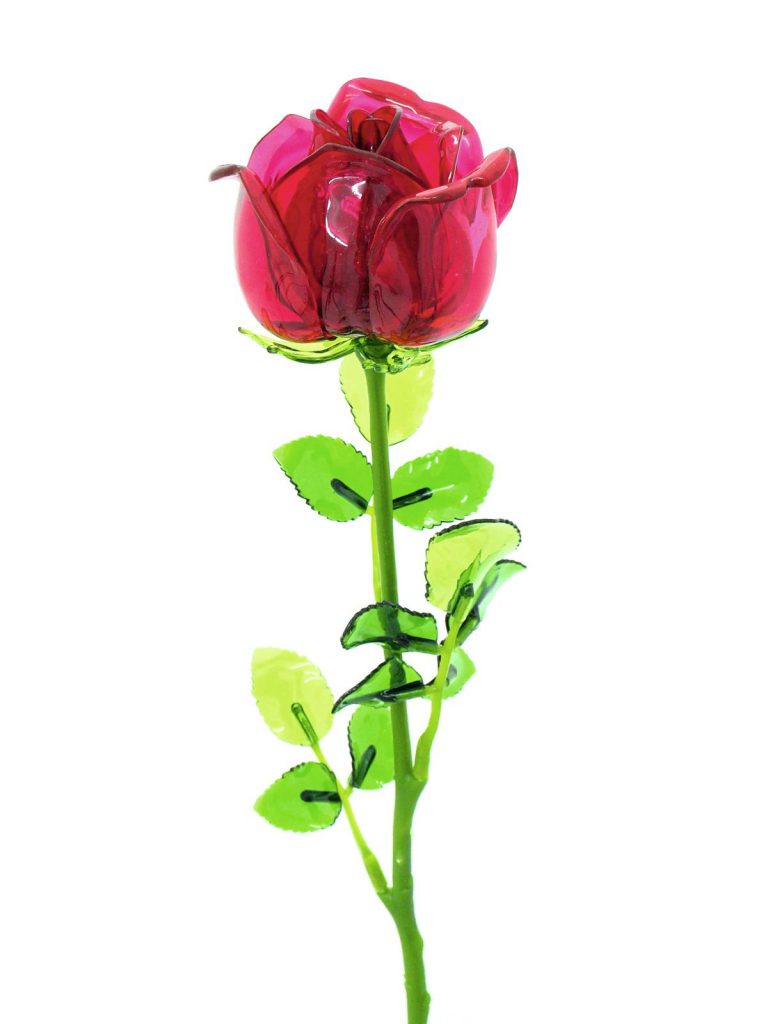 EUROPALMS Crystal rose, burgundy 81cm 12x