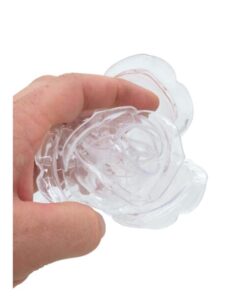 EUROPALMS Crystal rose, clear 81cm 12x