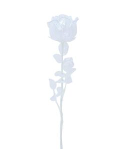 EUROPALMS Crystal rose, clear 81cm 12x