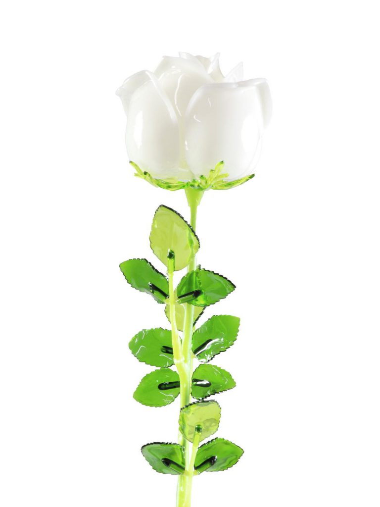 EUROPALMS Crystal rose, white 81cm 12x