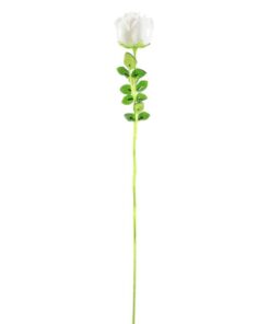 EUROPALMS Crystal rose, white 81cm 12x
