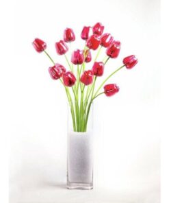 EUROPALMS Crystal tulip, red 61cm 12x