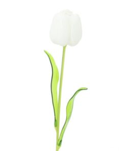 EUROPALMS Crystal tulip, white 61cm 12x