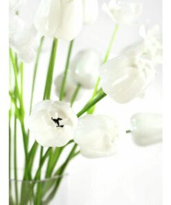 EUROPALMS Crystal tulip, white 61cm 12x