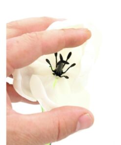 EUROPALMS Crystal tulip, white 61cm 12x