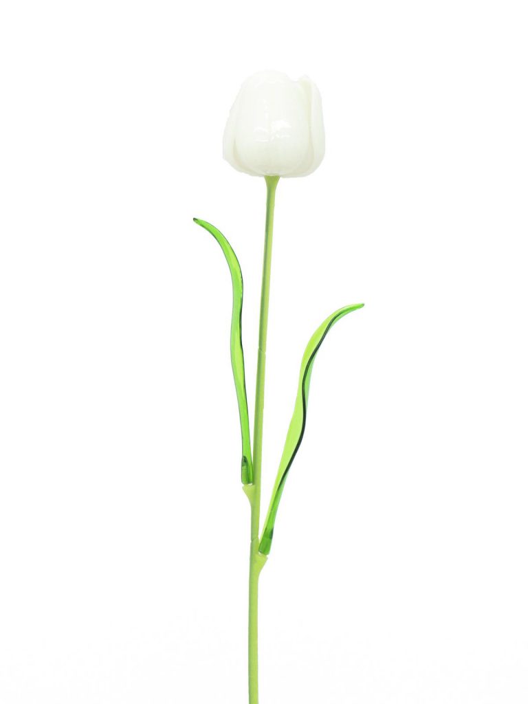 EUROPALMS Crystal tulip, white 61cm 12x