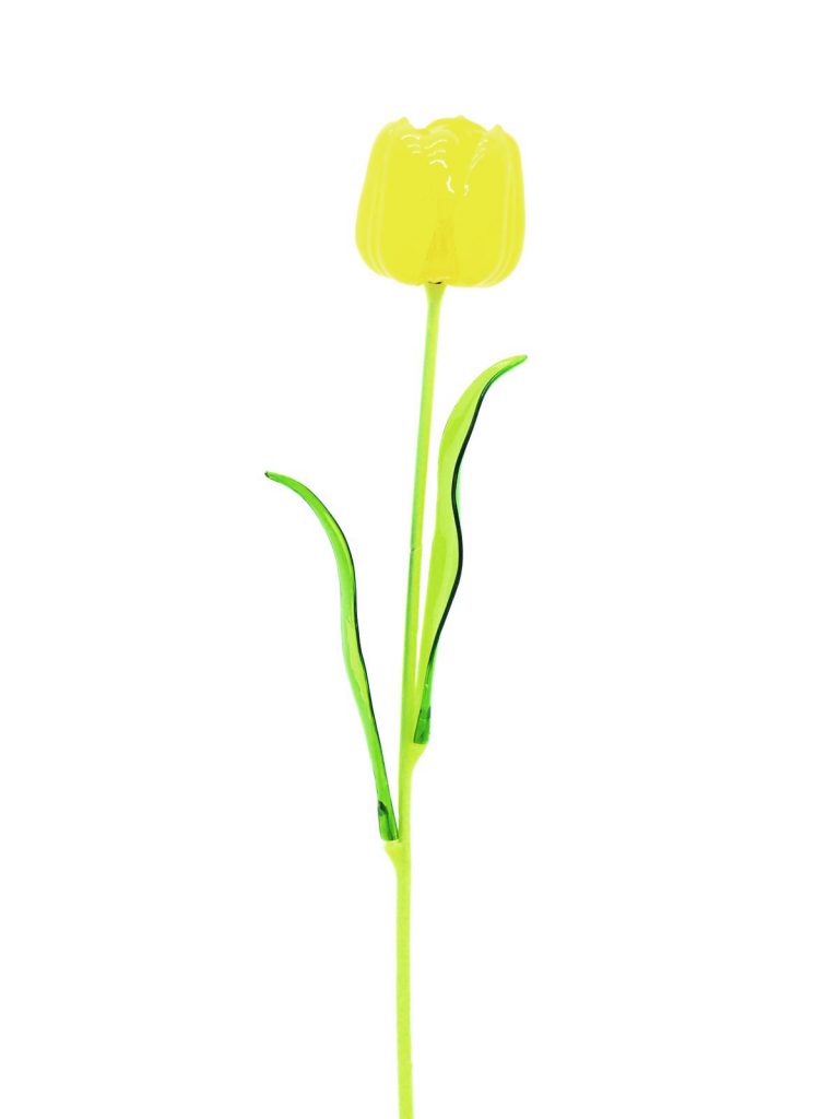 EUROPALMS Crystal tulip, yellow 61cm 12x