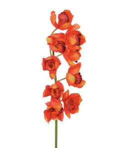 EUROPALMS Cymbidium spray, red, 90cm