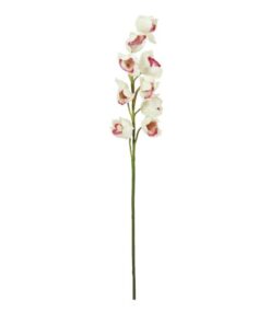 EUROPALMS Cymbidium spray, white-pink, 90cm