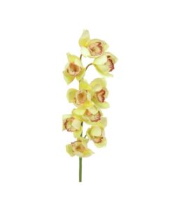 EUROPALMS Cymbidium spray, yellow, 90cm
