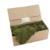 EUROPALMS Decoration moss, ca. 1,5-2,0kg
