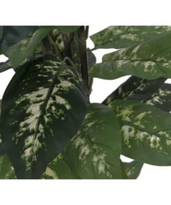 EUROPALMS Dieffenbachia, 120cm