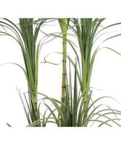 EUROPALMS Dracena bush, 215cm