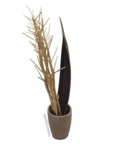 EUROPALMS Fennel bunch, dried, gold, 160cm