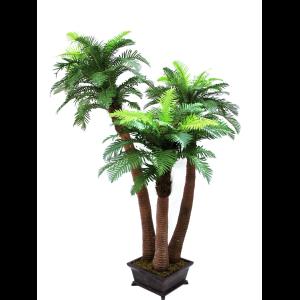 EUROPALMS Fern palm, 240cm
