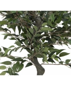 EUROPALMS Ficus Forest Tree, 110cm