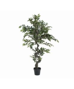 EUROPALMS Ficus Forest Tree, 110cm