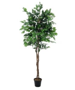 EUROPALMS Ficus Tree Multi-Trunk, 210cm