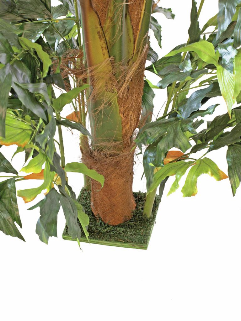 EUROPALMS Fishtail bush, 305cm
