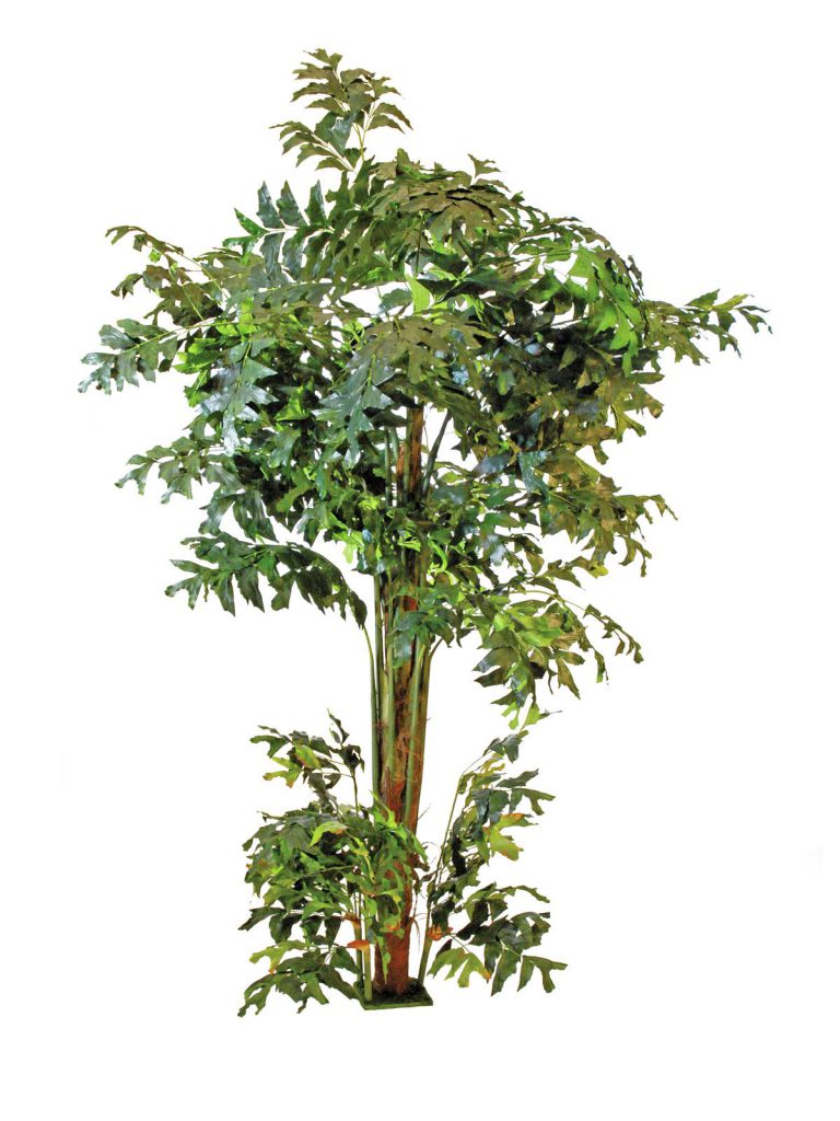 EUROPALMS Fishtail bush, 305cm