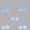 EUROPALMS Fleece banner, Star B1, 100x350cm
