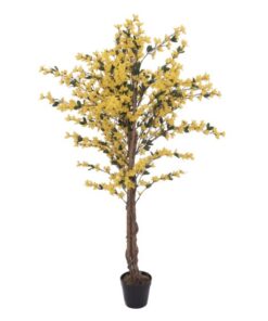 EUROPALMS Forsythia tree with 4 trunks, yellow, 150 cm