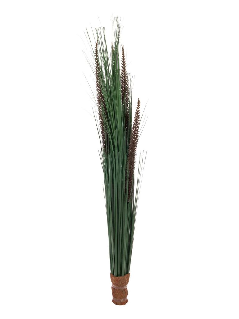 EUROPALMS Fountain grass with panicles, 96cm