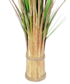 EUROPALMS Fox grass, 150cm