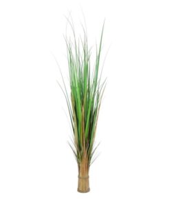 EUROPALMS Fox grass, 150cm