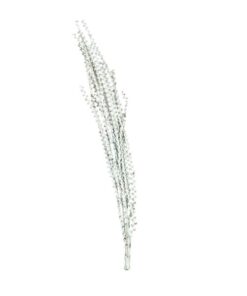 EUROPALMS Galho Buriti white 150cm