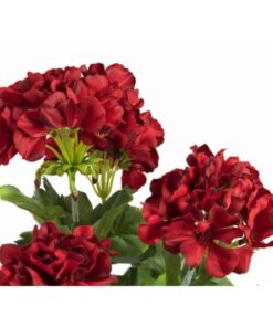 EUROPALMS Geranium red 42cm