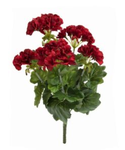EUROPALMS Geranium red 42cm
