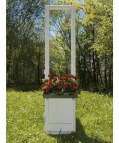 EUROPALMS Geranium red 42cm