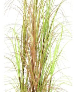 EUROPALMS Grass bush, 150cm
