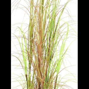 EUROPALMS Grass bush, 150cm