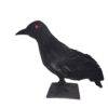EUROPALMS Halloween Raven 30x11x23cm