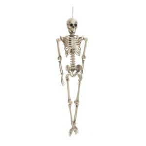 EUROPALMS Halloween Skeleton
