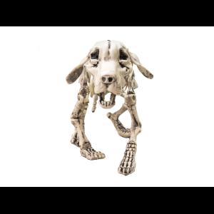 EUROPALMS Halloween Skeleton Dog, 71x40x25cm