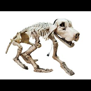 EUROPALMS Halloween Skeleton Dog, 71x40x25cm