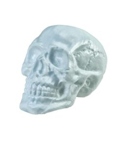 EUROPALMS Halloween Skull, 31x22x22cm