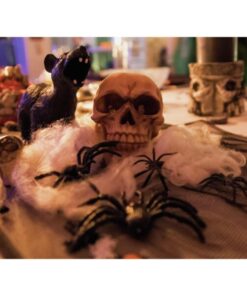 EUROPALMS Halloween spider web white 50g UV active