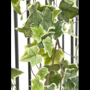 EUROPALMS Holland Ivy garland embossed 180cm