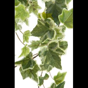 EUROPALMS Holland Ivy garland embossed 183cm