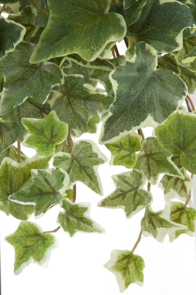 EUROPALMS Holland Ivy garland embossed 45cm