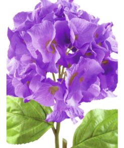 EUROPALMS Hydragena spray, lavender, 76cm